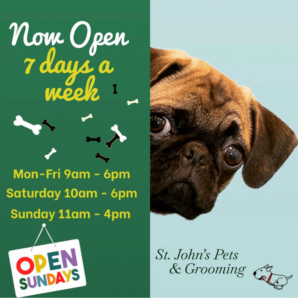 St John's Pets & Grooming Picture