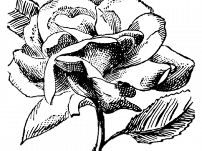 Tanika's Flowers image