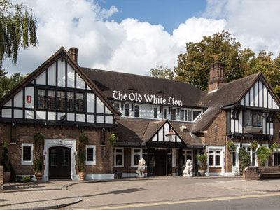 The Old White Lion Picture