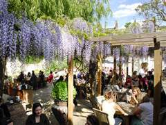 Our favourite alfresco dining restaurants picture