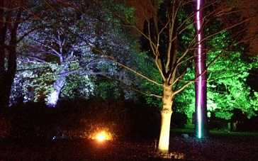 Kids in London – Night time adventures at the Enchanted Woodland in Syon Park image