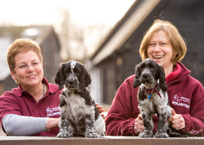 Chelsea Antiques Fair To Raise Funds For Hearing Dogs For Deaf People image