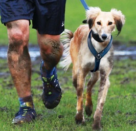 London Dog Blog – Muddy Dog Challenge 2015: Brockwell Park Sunday 10th May image
