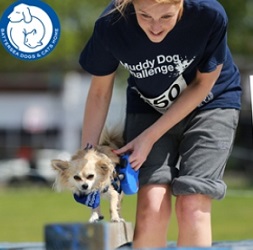 London Dog Blog – Battersea’s Muddy Dog Challenge at Brockwell Park and Windsor image