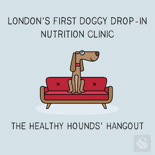 London Dog Blog – Dog drop-in nutritional clinic and dog brunch at Squirrel, South Kensington image