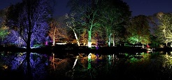 Kids in London: Syon Park’s Enchanted Woodland image