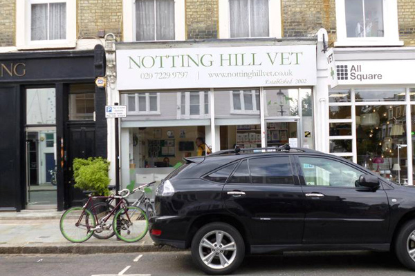 Notting Hill Vet image