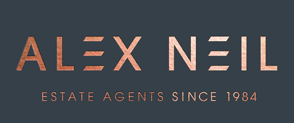 Alex Neil Logo