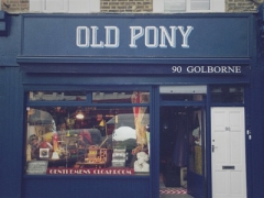 Old Pony image
