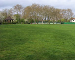 Paddington Recreation Ground image