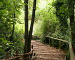 Camley Street Natural Park image