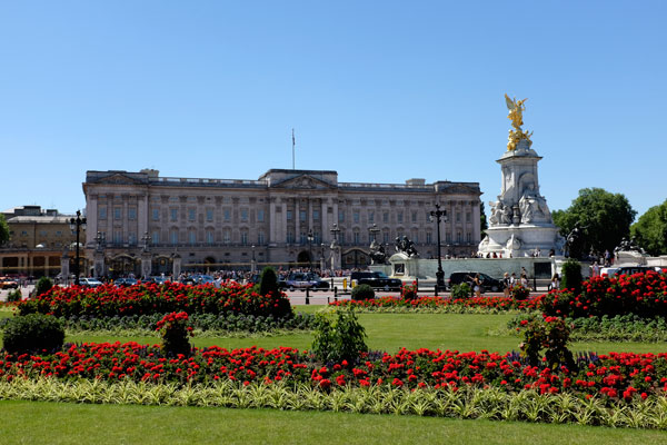 Buckingham Palace in bloom!