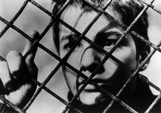 Going LOCO: The 400 Blows and Stolen Kisses image