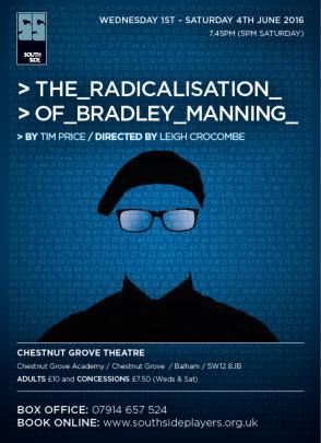 The Radicalisation of Bradley Manning by Tim Price image