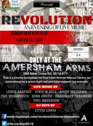 REVOLUTION An evening of live music (charity fundraiser for Foal Farm Animal Rescue Centre) image
