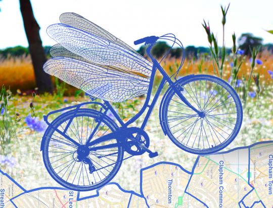 A Midsummer's Dream Cycle Ride image