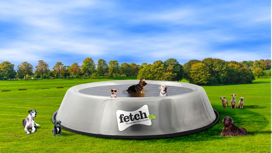 World's Largest Dog Bowl image