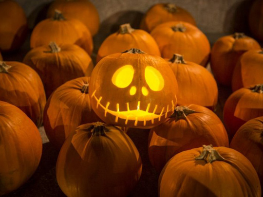 Pumpkin Carving image