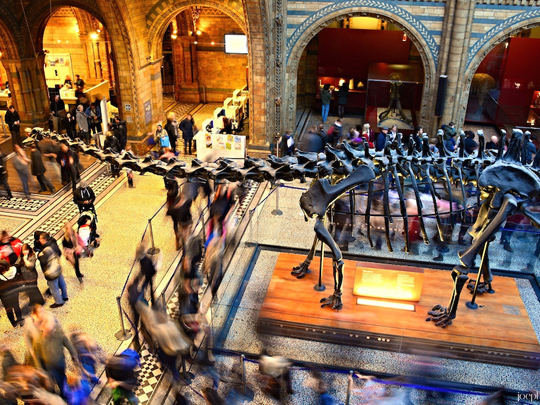 Last Dance with Dippy: New Year's Eve Ball image