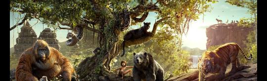Half Term Film: Jungle Book image