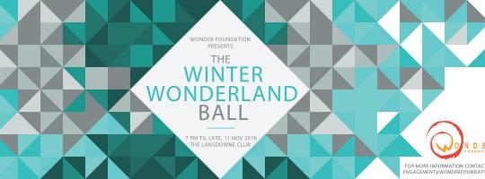 Wonder Foundation Winter Wonderland Ball image
