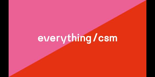 Everything / CSM image