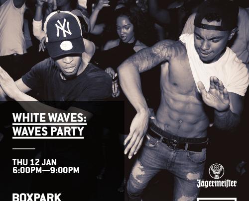 Waves Party image