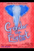 'Gender the Elephant' by Bethan Kitchen image