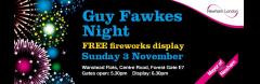 Newham Guy Fawkes Night image