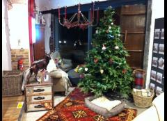 Barker and Stonehouse Christmas Extravaganza image