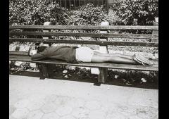 Andy Warhol: Photographs 1976 - 1987 image