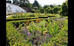 Head Gardeners Lecture Series: A Year in the Life of the Fulham Palace Walled Garden image