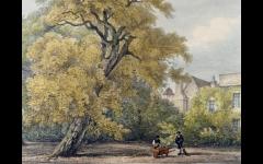 The Gardeners of Fulham Palace image