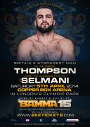 Bamma 15 Fight Night At Olympic Copper Box Arena image