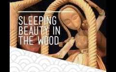 Sleeping Beauty In The Wood image