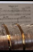 A Musical Evening: Franklin's Glass Armonica image