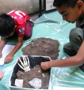 Family Day: Festival of British Archaeology – Bones in the Basement image