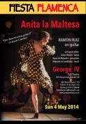 Flamenco music event image