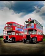 Year of the Bus – 75th anniversary of the RT-type bus image