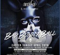 Easter Sunday The Bad Bad Bunny Ball image