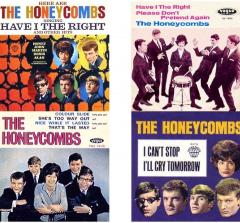 The Honeycombs In Concert - 50th Anniversary Tour image