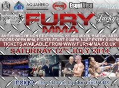Fury MMA image