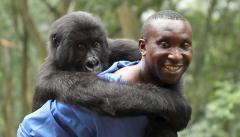 Dochouse Presents: Virunga Sneak Preview + Q&a image