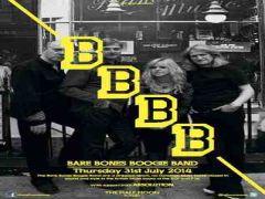 Bare Bones Boogie Band image