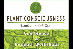 Plant Consciousness Conference image