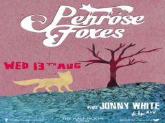 Penrose Foxes Jonny White image