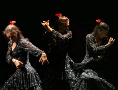 Flamenco Express image