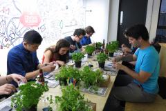 Tech Will Save Us - DIY Thirsty Plant Workshop: Help Your Plants Tell You When To Water Them image