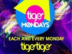 Tiger Mondays - Industry night image