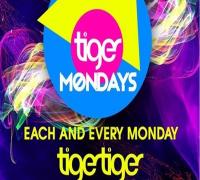 Tiger Mondays – Industry Night image